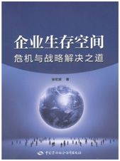 企業(yè)生存空間——危機(jī)與戰(zhàn)略解決之道